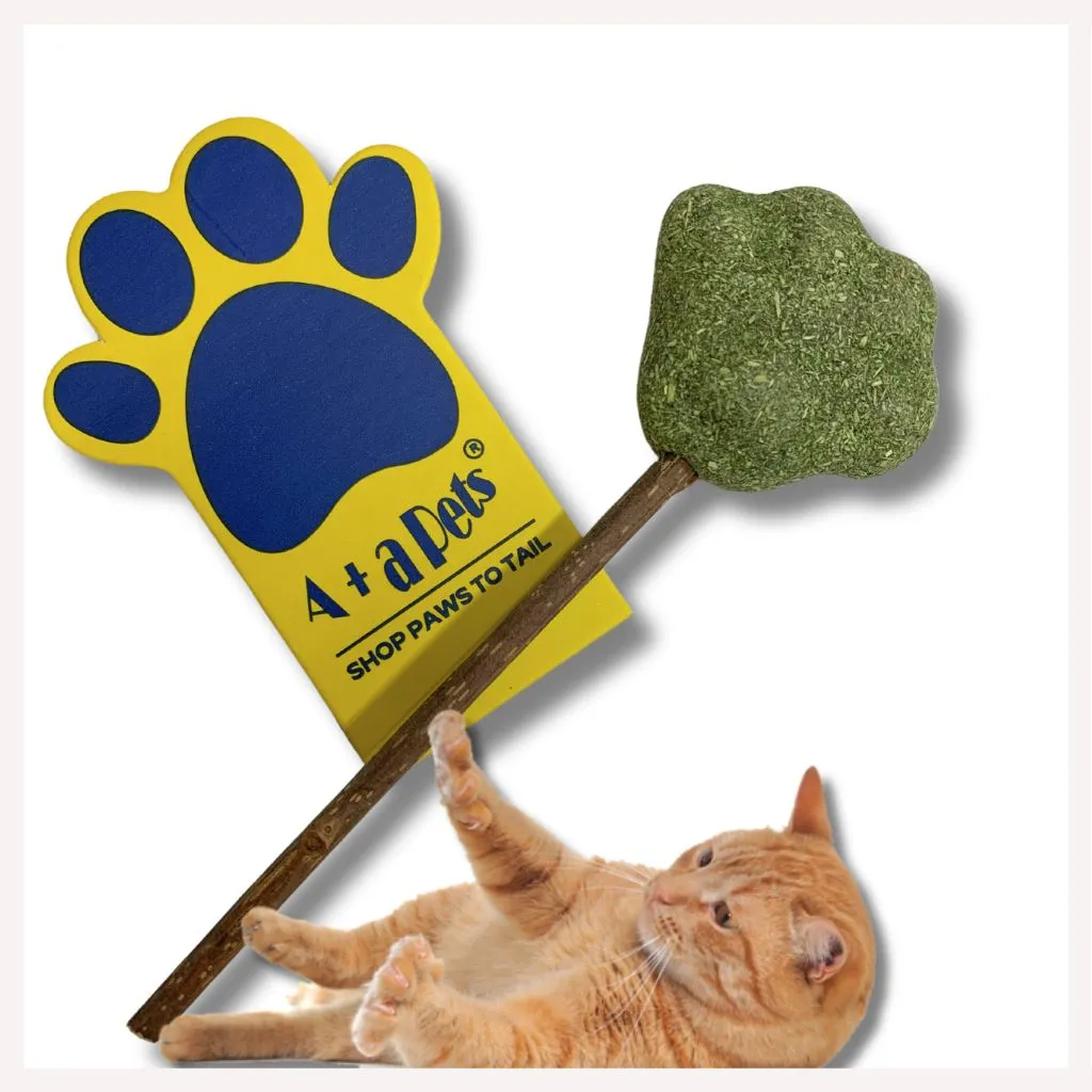 A a Pets' Goodie Box of (5) for Dogs and Cats: Sweater, Backpack Harness and Leash, Cotton Collar, Chew Mint Catnip Toy, and Wand Toy