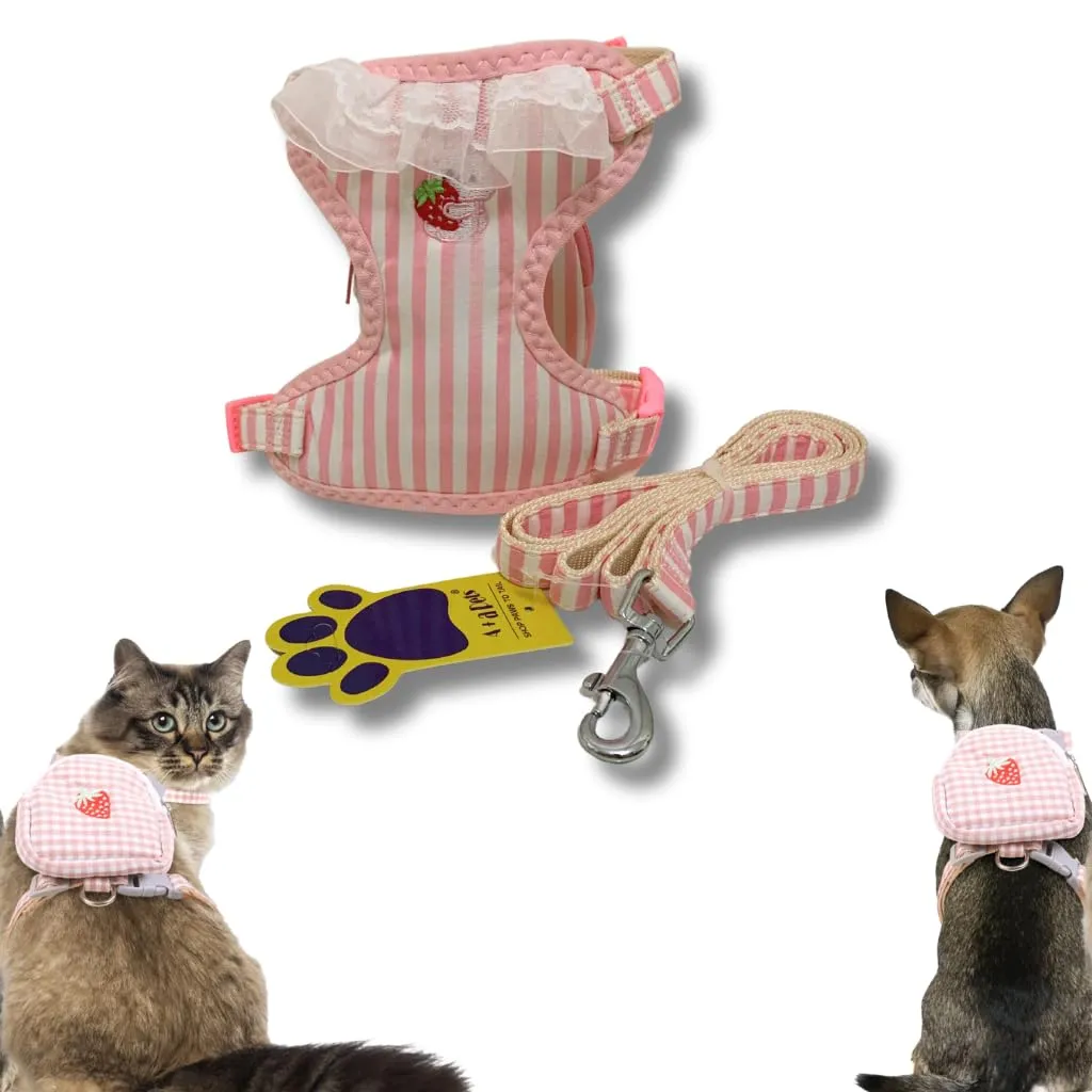 A a Pets' Goodie Box of (5) for Dogs and Cats: Sweater, Backpack Harness and Leash, Cotton Collar, Chew Mint Catnip Toy, and Wand Toy