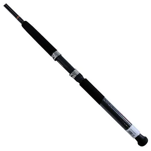 Beefstick BT Saltwater Boat Rod - Spinning, 6'6"