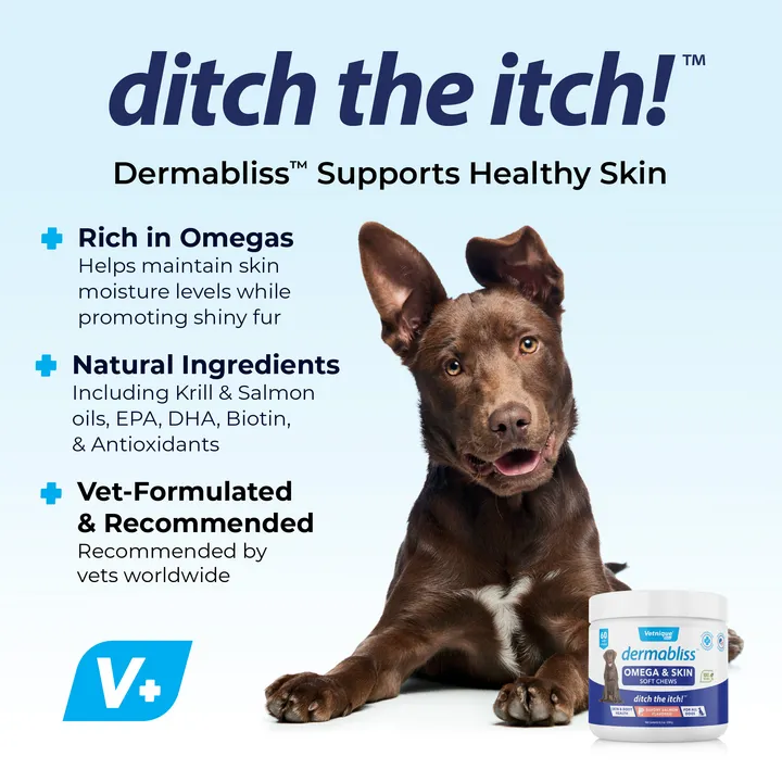 Dermabliss Omega Fatty Acid Skin Supplement for Dogs