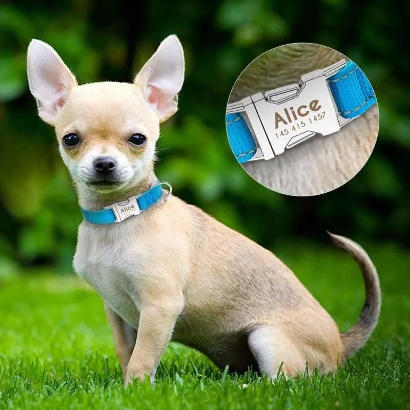 Personalized Dog Collar Just For You