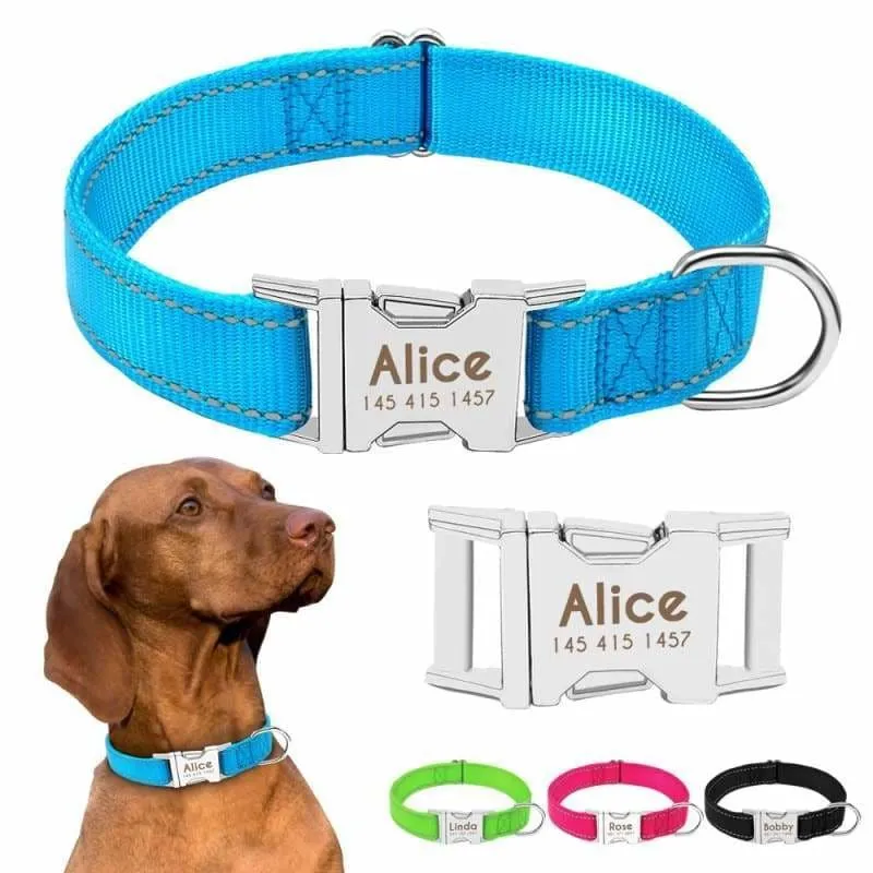 Personalized Dog Collar Just For You