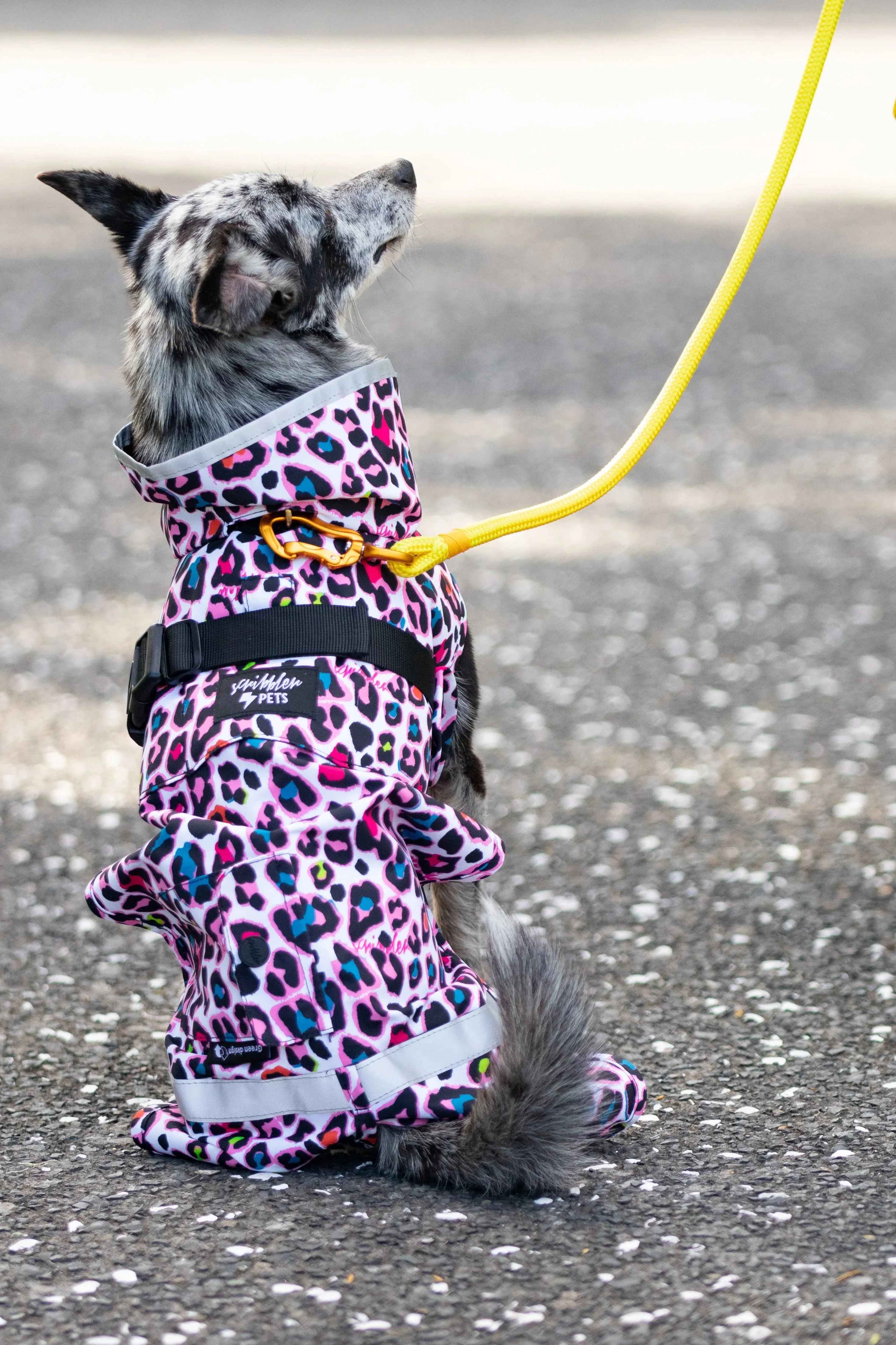 Scribbler Waterproof Coat  |  Neon Leopard LAST CHANCE