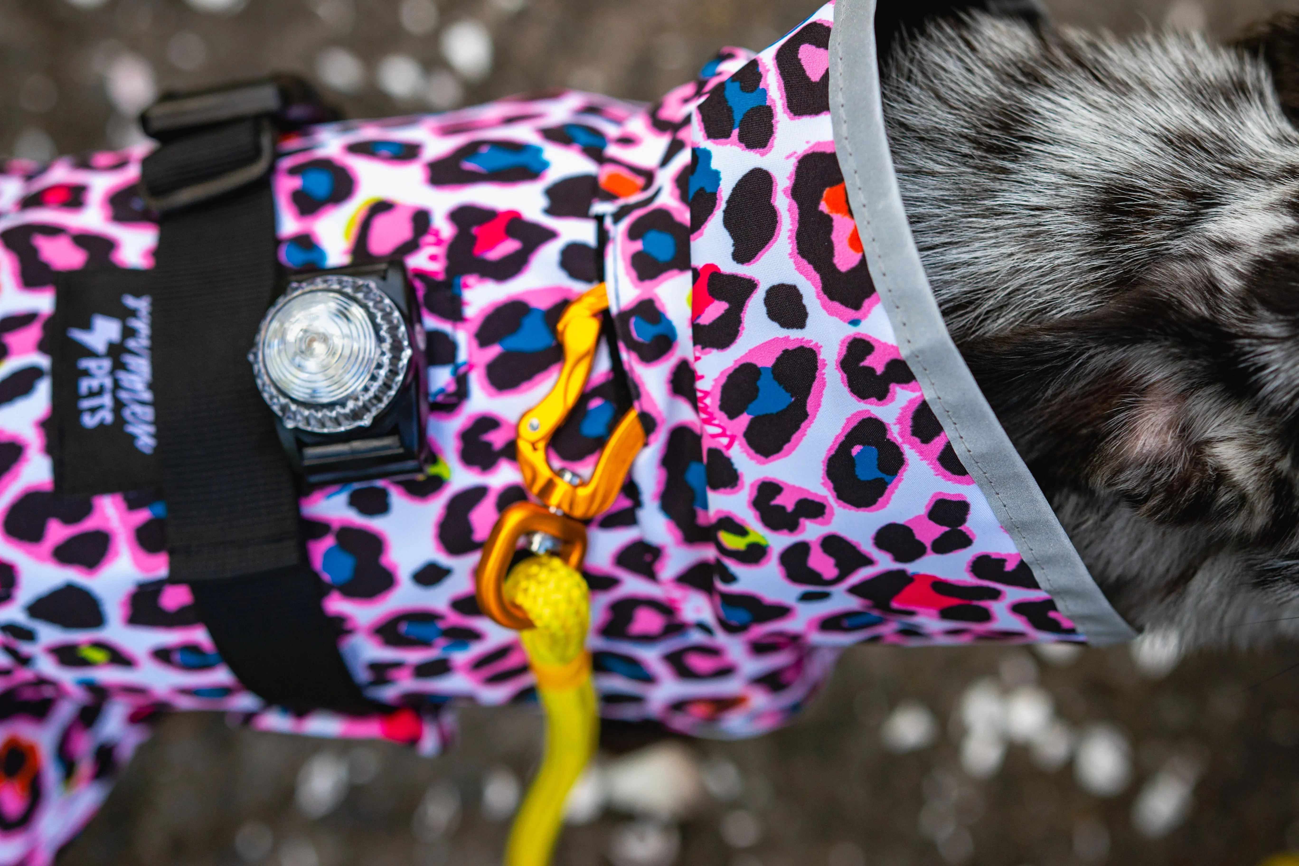 Scribbler Waterproof Coat  |  Neon Leopard LAST CHANCE