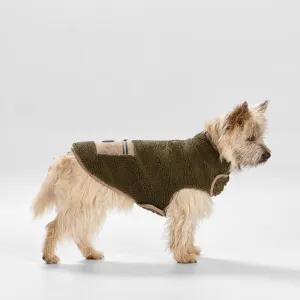 Teddy Dog Coat with Pocket